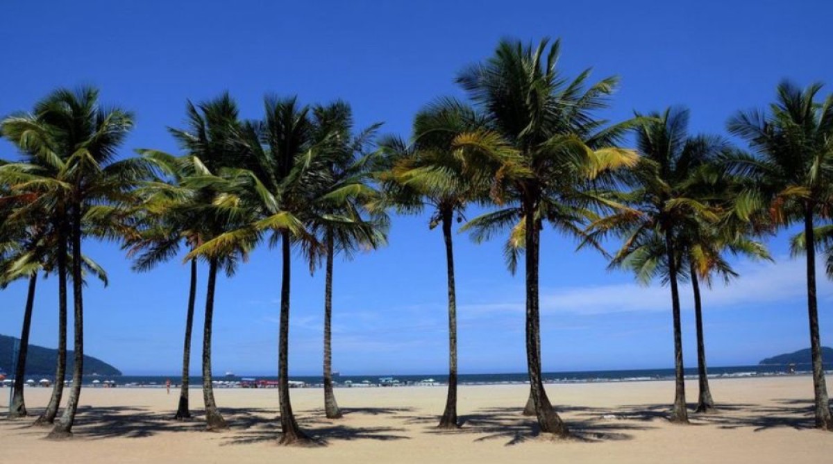 Apartamento à Venda no Gonzaga, Santos – Vista para o Mar.