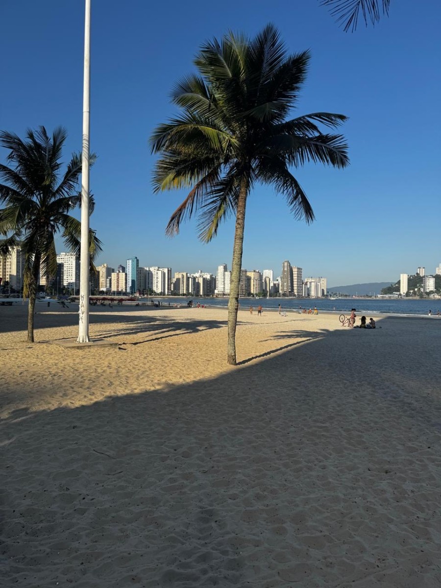Apartamento à Venda na Praia do Gonzaguinha – 1 Dormitório Mobiliado Prédio Frente ao Mar
