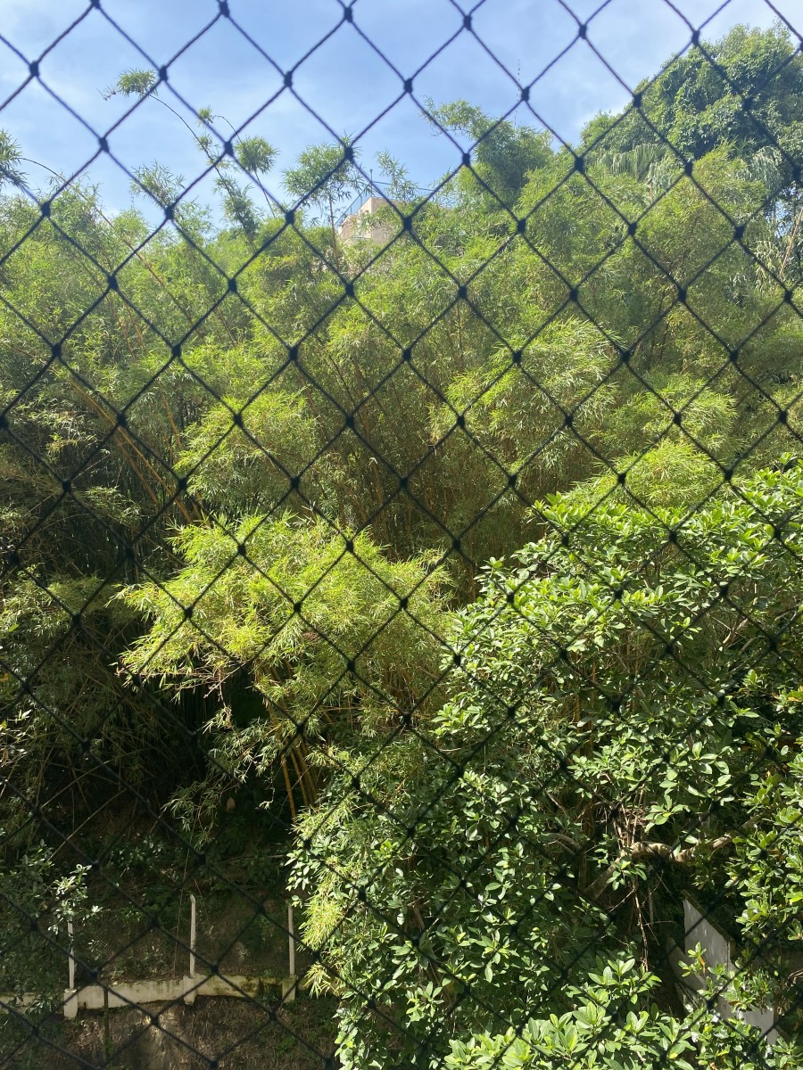 Apartamento à Venda, Centro de São Vicente- SP